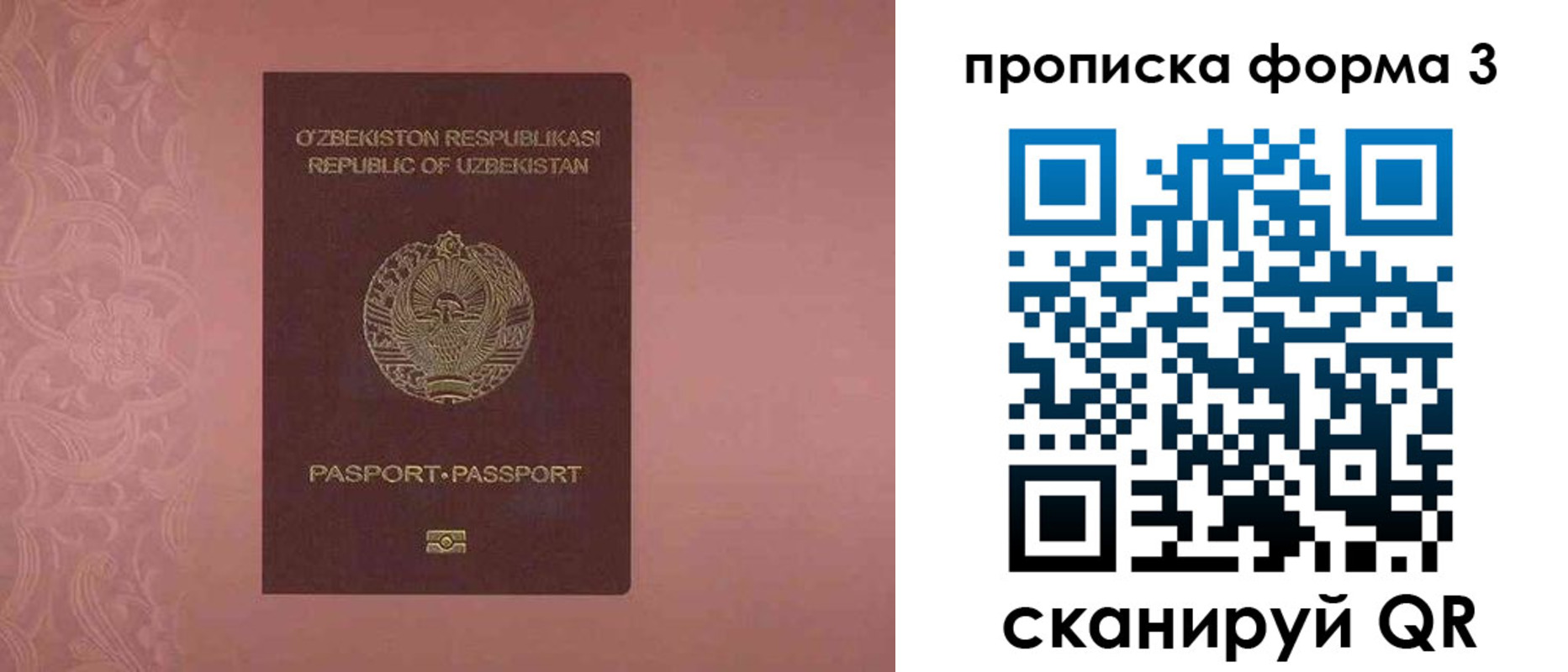 регистрация в Старой Руссе